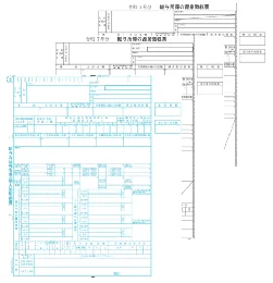 09-SP6009-A25 単票源泉徴収票(令和7年分)