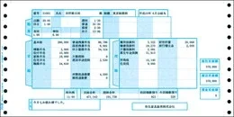 弥生 200027 オオイリ給与明細書2P 1000枚