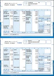 弥生 334005 給与明細書ページプリンター用紙封筒式(単票用紙)
