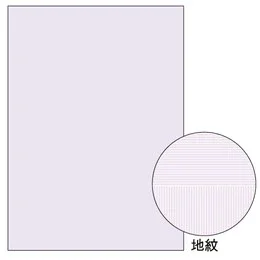 BP2110 コピー偽造予防用紙浮き文字タイプA4両面