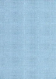 PCA PA1113F 給与明細書(罫無) 500枚【販売終了】